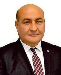 Meslek hayatına 1987 yılında özel sektörde başlayan Şahin, sırasıyla 1992-1995 yılları arasında ODTÜ Bilgisayar İşletmenliği (657 sayılı), 1995-1998 yılları arasında Şekerbank T.A.Ş. Mali Tahlil Uzmanı, 1998-2000 yılları arasında EGS Faktoring A.