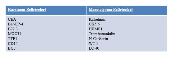 Tablo 5: MM da İmmünhistokimyasal belirteçler 2.6.2. TTF-1: TTF-1, tiroid ve pulmoner epitel hücrelerinden eksprese edilen, NKx2 ailesinin 38-40 kd ağırlığındaki transkripsiyon faktör üyesidir.