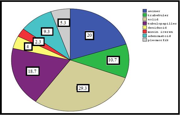 Tablo 11: Malign mezotelyoma epitelioid tipin histolojik varyantlara göre dağılımı Grafik 1: Malign mezotelyoma epitelioid tipin
