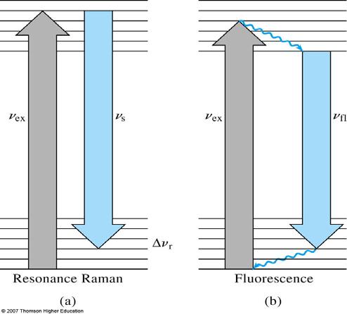 Raman Spektroskopisinin Diğer Tipleri Rezonans Raman Spektroskopi Yüzey-Güçlendirilmiş Raman Spektroskopisi (SERS) Rezonans Raman saçılımı, Raman çizgi şiddetlerinin bir analitin elektronik