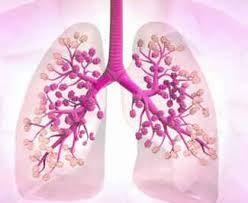 Akciğer Savunma Mekanizmaları - 3 Üçüncü savunma mekanizması Yabancı kimyasalların akciğerlerde metabolize