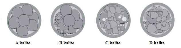 Grade C (3. sınıf embriyo) - Belirgin faklı boyutta, asimetrik görünümde blastomerli embryolardır.