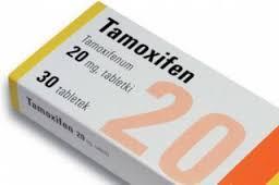 Hormonal maddeler Tamoksifen- östrojen reseptör antagonisti Prednizon- lemfolitik,