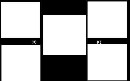 morfolojilerini gösteren SEM fotoğrafları. Partikül (A) Normal partikül, (B) PT-1 (60/50), (C) PT-2 