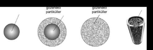 karģılaģılan sabit faz türleri; amorf partiküller, yüzeysel gözenekli partiküller, tamamen gözenekli partiküller ve monolitlerdir [73]