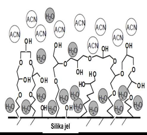 ġekil 2.16. Polar sabit faz yüzeyinde, asetonitril ile zengin hareketli faz kullanımı sırasında su moleküllerinin oluģturduğu tabaka. 2.6.4. HILIC için Kull n l n Hareketli Faz ve Sabit Fazlar 2.6.4.1. Hareketli faz Polar ve hidrofilik analitlerin ayırımında oldukça güçlü olduğu kanıtlanan HILIC sisteminde sabit faz genelde silika üzerinde siyano amino, diol gibi polar gruplar içerir.
