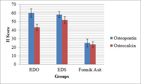 RDO ve EDS gruplarının H skorları OPN için sırasıyla 60.0 ± 4,8 ve 58.3 ± 3,7 olmak üzere birbirine benzerdi ve formik asit grubundan (25.0 ± 4,6) anlamlı derecede yüksekti (p<0.05).