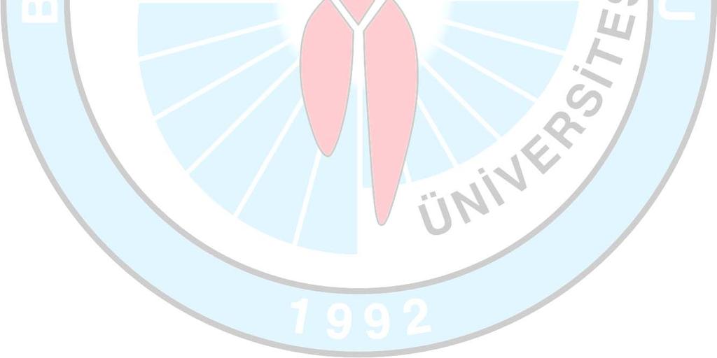 Araştırmaya Eskişehir Osmangazi Üniversitesi nden 124 öğrenci ve Anadolu Üniversitesi nden 124 olmak üzere toplam 248 öğrenci katılmıştır.