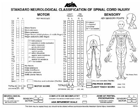 The Journal of Turkish Spinal Surgery (11) olmas d r. Kan tlanm fl spinal kord yaralanmas olan her hastada 1 saat içinde.