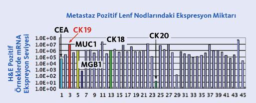 CK19 mrna ekspresyon miktarı, metastatik odakların büyüklüğü ile korelasyon gösterir: Sistem, metastatik tümör yükünün boyutuna işaret eder.
