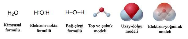 Anyon İsminden Kaynaklanan Asit İsimleri Hidro + ametal kök(anyon) + ik asit ÖRNEKLER HCl (aq) =Hidroklorik asit HF (aq) = Hidroflorik asit Molekül Kütlesi Molekül