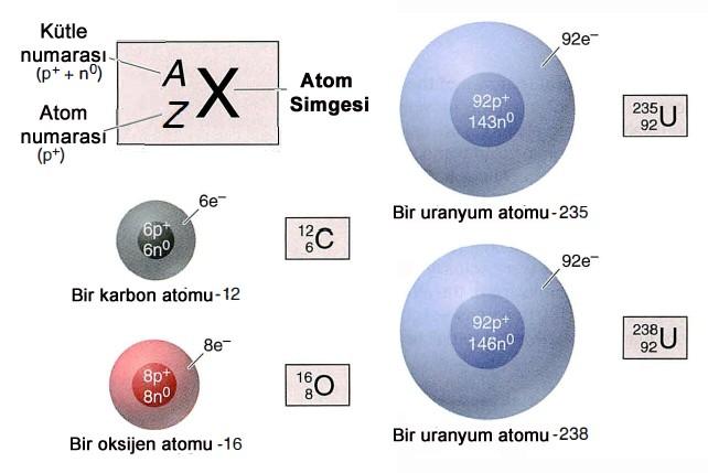 Kimyasal Elementler Her elementin bir adı ve bir simgesi vardır.
