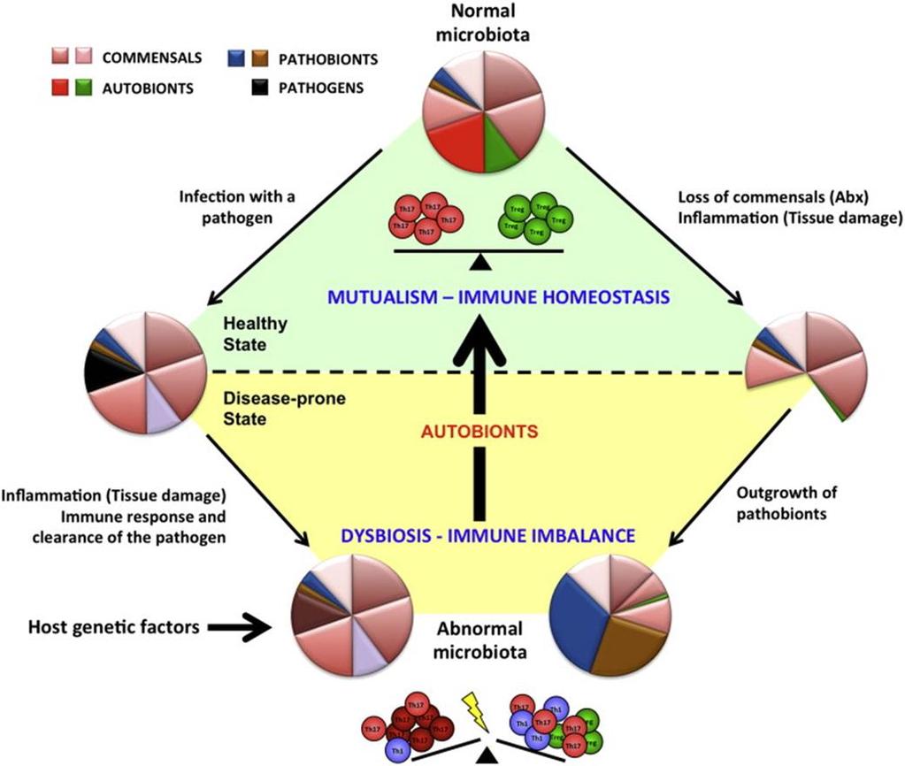 Immunol