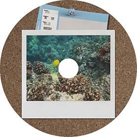 Editör'de proje oluşturma 264 CD ve DVD etiketleri hakkında Photoshop Elements, mürekkep püskürtmeli bir yazıcı kullanarak CD ve DVD'ler için yapışkanlı disk etiketleri veya yazdırılabilir CD ve