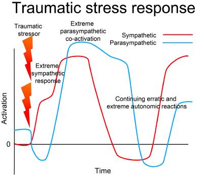 Şiddetli akut strese tepki Noradrenerjik sistemin harekete geçmesiyle amigdalada LTP aracılığı ile duygusal anıların kodlanmasında artış, duyarlılaşma, korku koşullanması oluşur Travmanın
