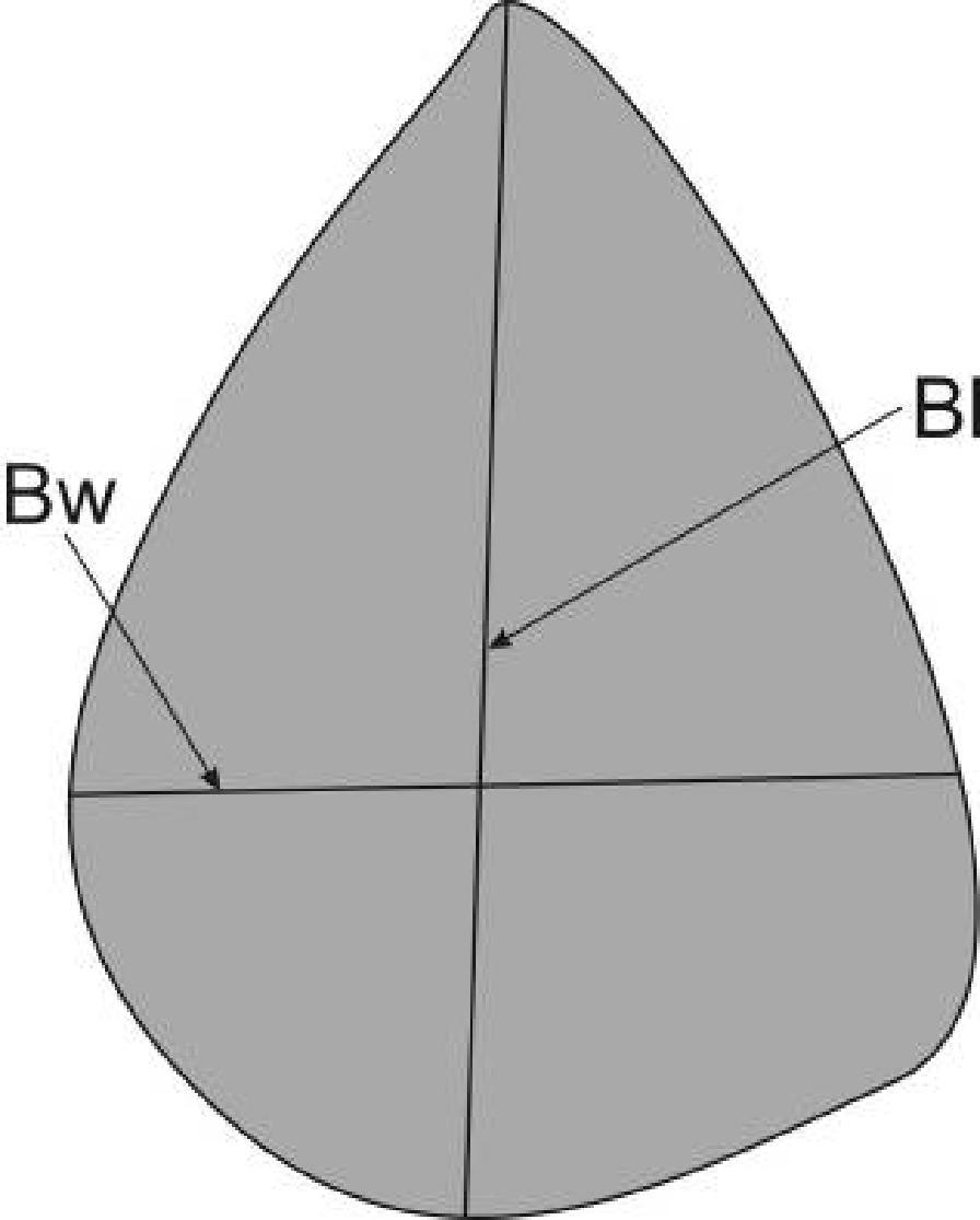 Bs nin yüksek değeri uzamış havzaları, düşük değeri ise daha dairesel havzaları ifade eder. Uzamış şekilli havzalar tektonik açıdan aktif alanları karakterize eder.