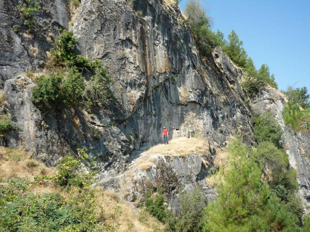 Dolomit, dolomitik kireçtaşı, kireçtaşı ve jipsler: Bu birim gri, koyu gri, masif, çok ince tabakalı dolomitlerle başlar ve açık gri, pembe renkli dolomitik kireçtaşları ile devam eder.