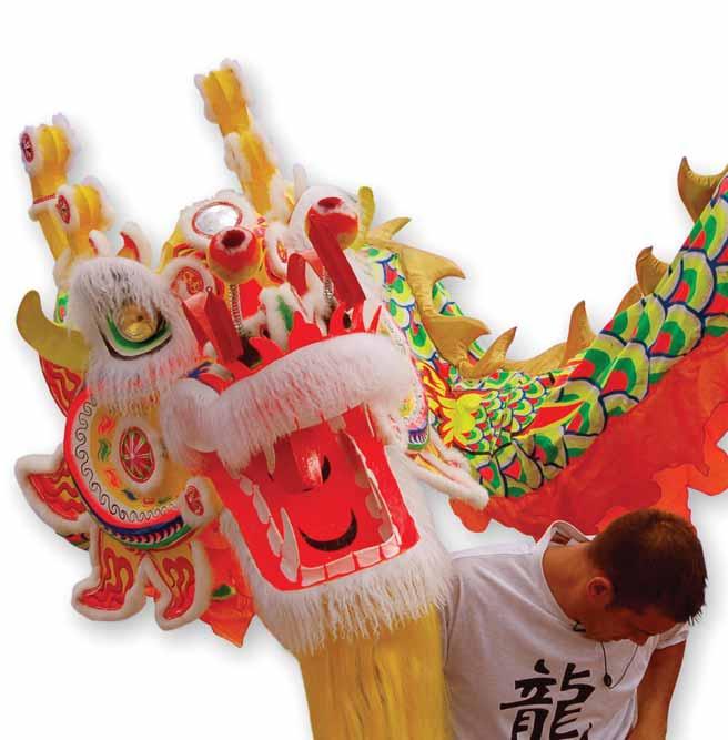 Çin Ejderhası mitolojik bir varlıktır. Uzun, yılanımsı ve dört ayaklı bir yaratık olarak tasvir edilir.