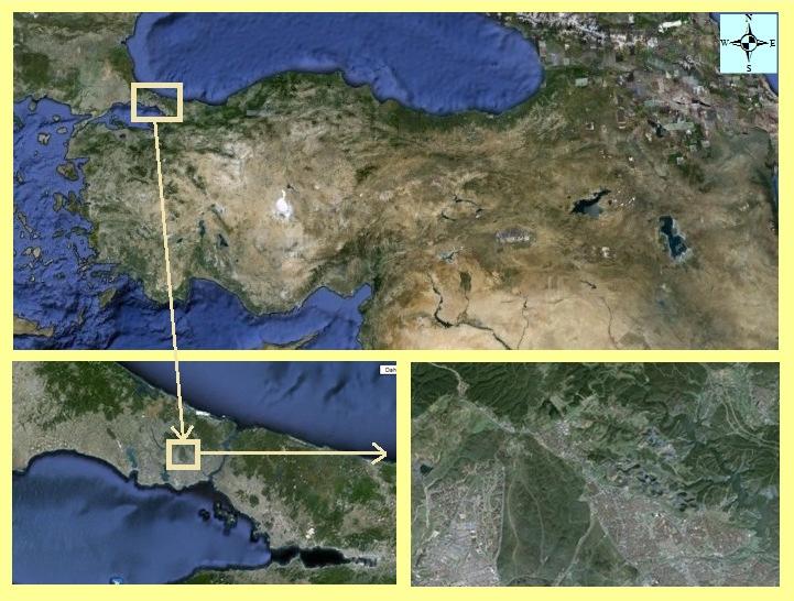 37 5. UYGULAMA 5.1 Test Alanı Test alanı olarak seçilen İstanbul ili Türkiye nin kuzey batısında yer almaktadır.