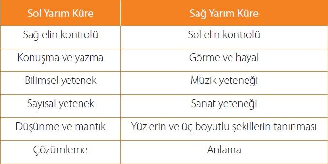 Sol yarım küre düşünme, mantık ve çözümlemede daha akt 㟀 fken, sağ yarım küre 㟀 se üç bouylu res 㟀 m ve şek 㟀 ller 㟀 tanıma ve anlama akt 㟀 㟀 r.