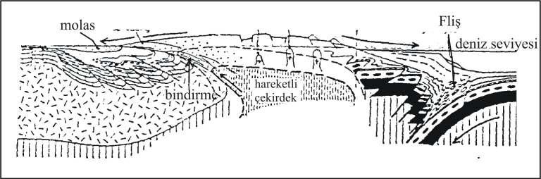 Okyanusal litosferin, kıta kabuğu altına dalması ile Kordiller veya And tipi kıta kenarı oluşur (Şekil 8.11).