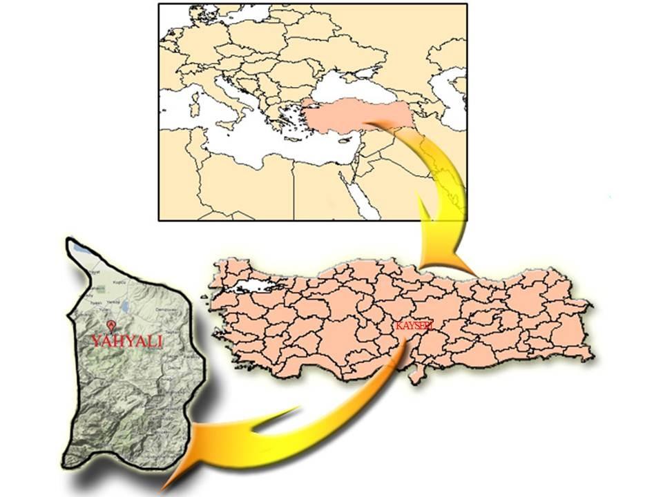 10 KSÜ Doğa Bil. Der., Özel Sayı, KSU J. Nat. Sci., Special Issue, Şekil 1. Çalışma alanı BULGULAR İlçenin önemli doğal kaynak değerlerinden Aladağlar, Toros dağ silsilesi içerisinde yer almaktadır.