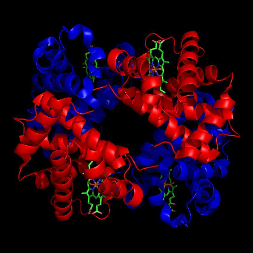 Lipoprotein