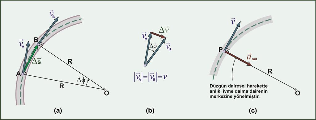 Düzgün Dairesel Hareket (a) (AOB) üçgeni e (b) de hız ektörlerinin oluşturduğu üçgen benzerdir.