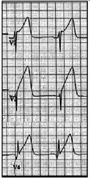 Physicians and Cardiologists.