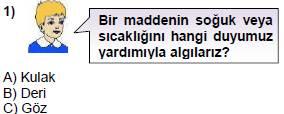 65) İşitme engelli birinin hangi duyu organı zarar görmüştür? A) dil B) deri C) kulak 66) Kirpik hangi duyu organımızda bulunur?