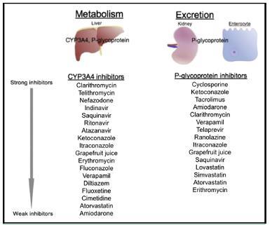 Kolşisin- Farmakokinetik özellikleri