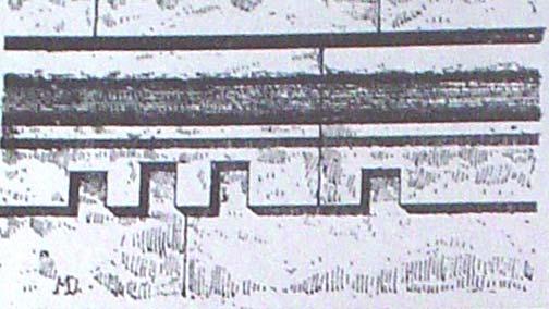 Şekil 103: Pasargadae II.