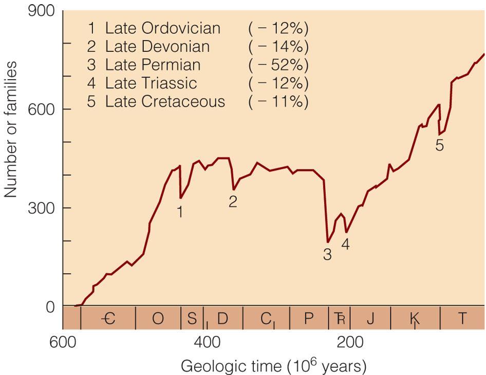 Paleozoyik te Üçüncü toplu yok oluş Permiyen Dönemi M&W, Fig. 21.