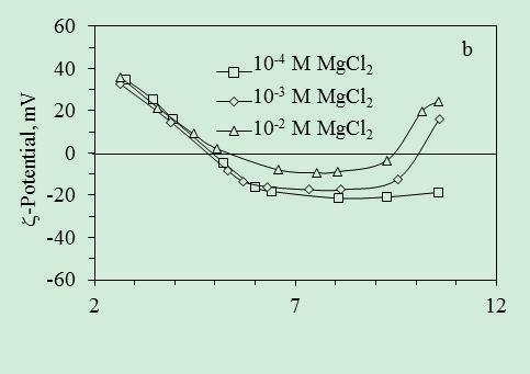ζmanyetit Mg 2+ Bir 2:1 elektrolit olan MgCl 2 düşük derişimlerde bile zeta potansiyeli sıfıra yaklaştırmakla kalmaz, yüksek