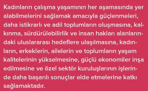 WEPs Nedir?