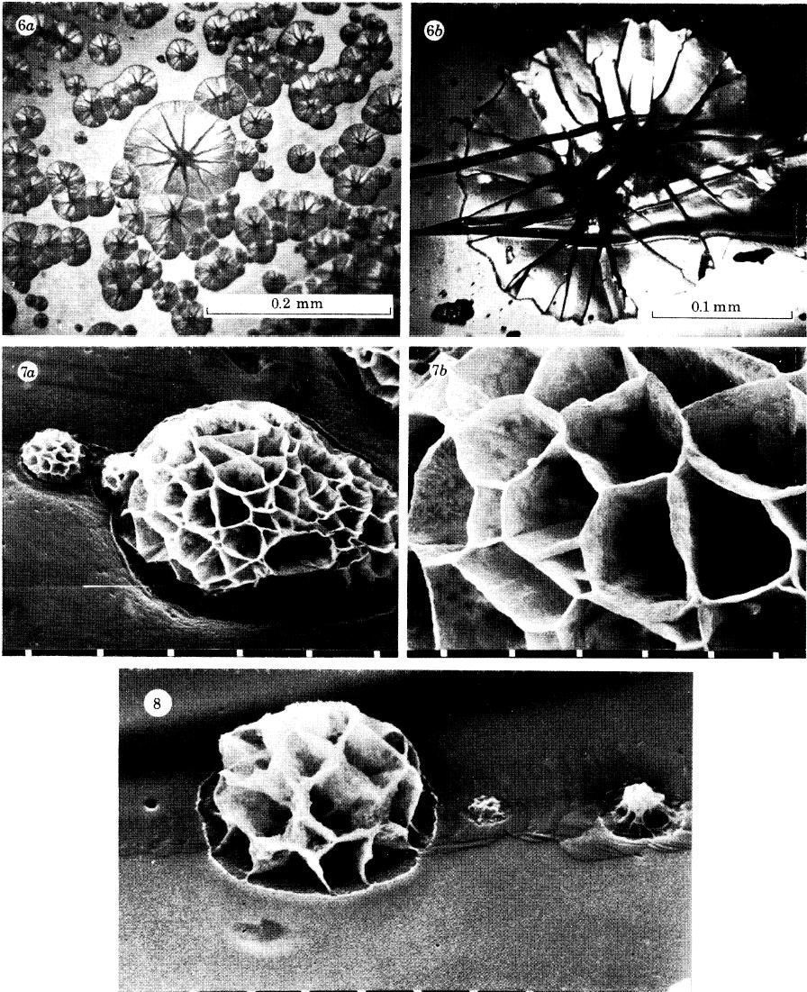 Şekil 2.18: [KCr(SO 4 ) 2.12H 2 O] bileşiğinin dehidrasyonu sırasında çekilmiş elektron mikroskobu fotoğrafları 2.6.
