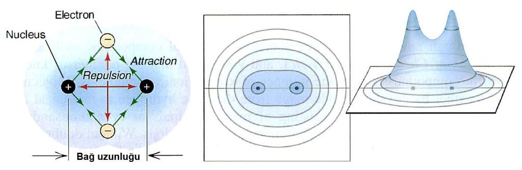 Hidrojen Molekülünün Elektron Yoğunluğu Dağılımı Gösterimi Hidrojen molekülünün elektron yoğunluğu dağılımının üç şekilde gösterimi : Uzay-dolgu modelinin kesit yüzeyi Elektron yoğunluğu Eşyükselti