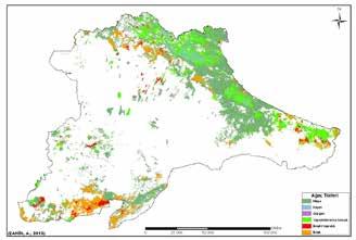 Birinci devre amenajman planları ile kat i amenajman planları sonuçlarına göre Trakya orman alanları % 71,2 meşe, % 17,9 gürgen, % 7,2 kayın, %3,2 kızılçam ve % 0,5 kestane saf ve karışık