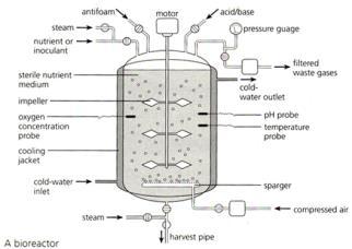 Günümüzde mayalanma tepsili reaktörleri geliştirilmiş Silindirik ceketli bir tanktır ve içerisinde birbiri üzerine dizilmiş ve değiştirilebilen mayalanma tepsileri bulunmaktadır. Besi ortamı üretim m.