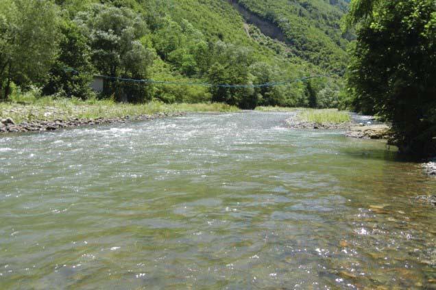 ÇALIŞMA ALANI Türkiye nin en önemli doğal kaynaklarından biri olan su kaynaklarını tespit etmek, geliştirmek ve kullanmak amacıyla ülke yüzeyi 26 drenaj