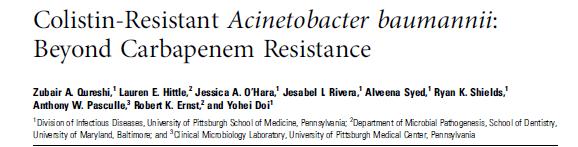 20 kolistin dirençli Acinetobacter spp., 13 ü VİP 19 u öncesinde karbapenem dirençli Acinetobacter spp.