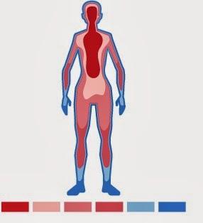 Çekirdek Sıcaklık / Periferik Sıcaklık Çekirdek sıcaklık, hayati organlar etrafındaki sıcaklıktır. Normal koşullarda 37 o C olarak belirtilir.