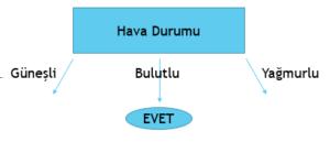 Açıkça görüyoruz ki, BK(S, Hava Durumu)=0.246 en yüksek bilgi kazanımına sahip, dolayısıyla kök düğüm olarak Hava Durumu özniteliğini seçtik. Bu noktada, karar ağacı aşağıdaki gibidir. Şekil 12.