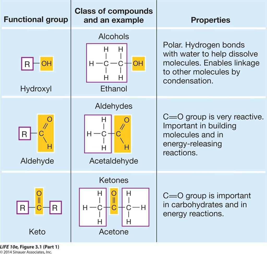 Figure 3.1 Canlı sistemler için önemli olan bazı fonksiyonel gruplar Fonksiyonel grup Bileşik sınıfları ve bir örnek Özellikler Polar. Suyla hidrojen bağları yapar: Molekülün çözünmesini sağlar.