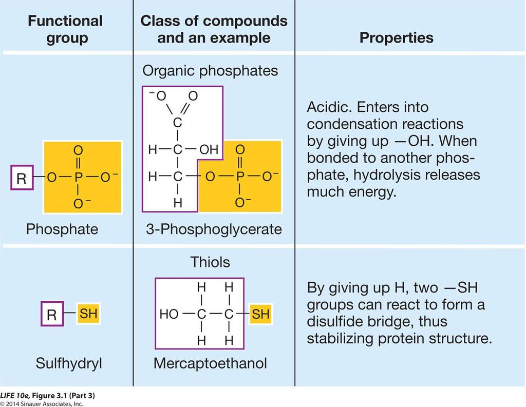 Figure 3.1 Canlı sistemler için önemli olan bazı fonksiyonel gruplar Fonksiyonel grup Bileşik sınıfları ve bir örnek Özellikler Organik fosfatlar Asitik.