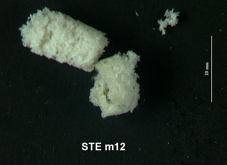 Test 3 numuneleri; STE m11, STE m12, STE m13 ve STE m14 Aseton, etanol ve metanol çözücüleriyle hazırlanan kemiksi yapı