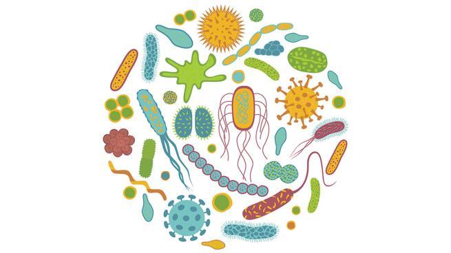 Probiyotiklerin etki mekanizmaları World Gastroenterology
