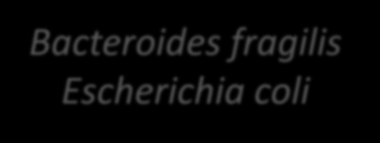 Streptokoklar Enterokoklar Anaerop