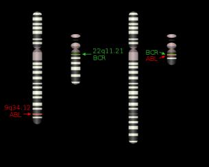 ABL ABL kinaz inhibitörü: Kinaz aktivasyonunu nötralize ederek kontrolsüz büyümeyi inhibe eder.