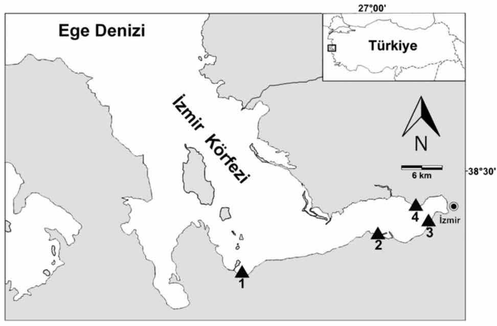 Alper DOĞAN GİRİŞ İzmir Körfezi, Ege Denizi nin Anadolu kıyılarına yaklaşık olarak 60 km girmesi ile meydana gelen bir körfez olup, topoğrafik olarak iç, orta ve dış körfez olmak üzere üç kısımda